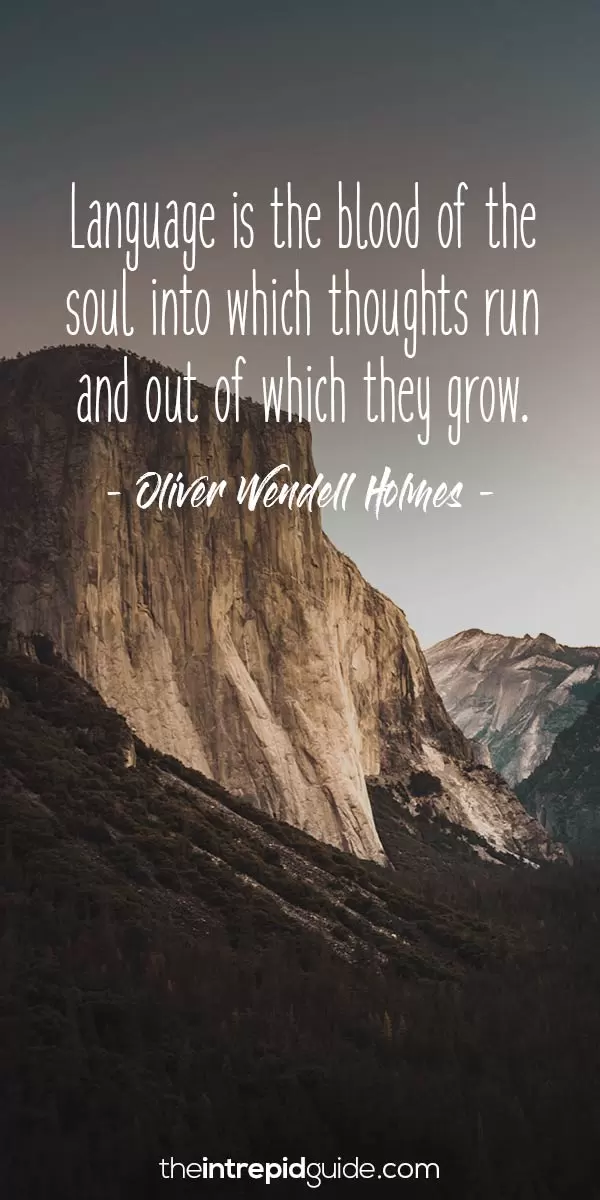 Inspirational quotes for language learners - Oliver Wendell Holmes