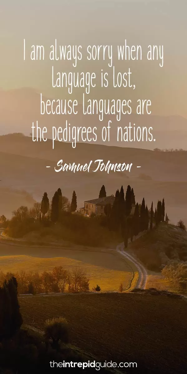 Inspirational quotes for language learners - Samuel Johnson