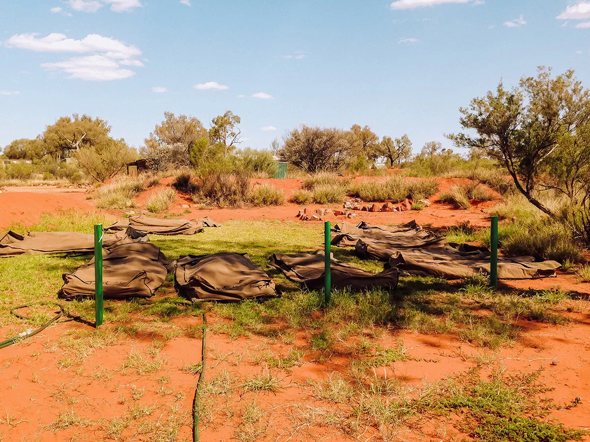 Darwin to Alice Springs road trip - Sleeping in an Australian swag