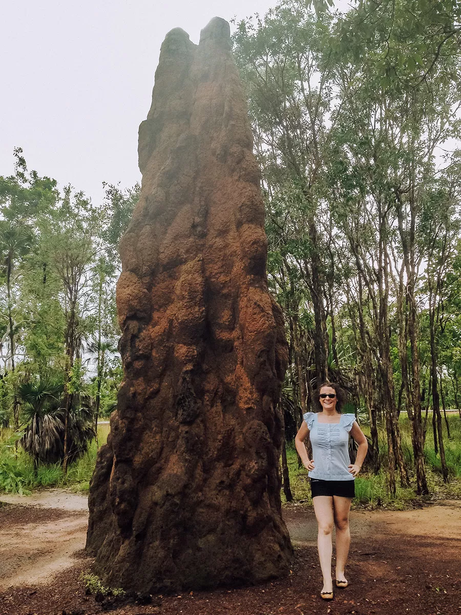Darwin to Alice Springs road trip - Termite mound