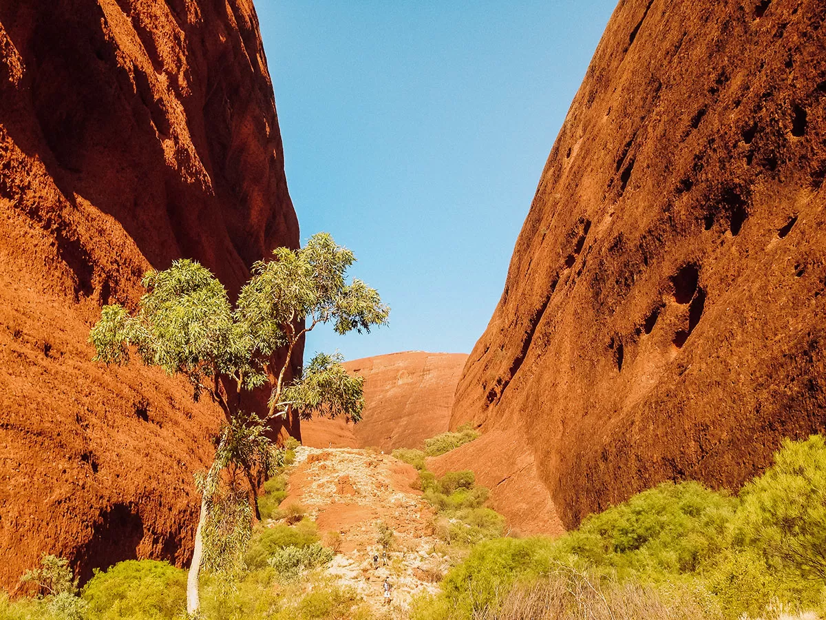 Darwin to Alice Springs road trip - Valley of the Winds at Kata Tjuta