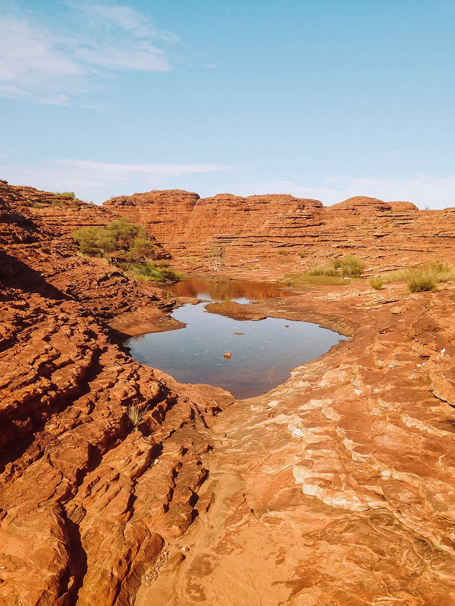 Darwin to Alice Springs road trip - Water at Kings Canyon