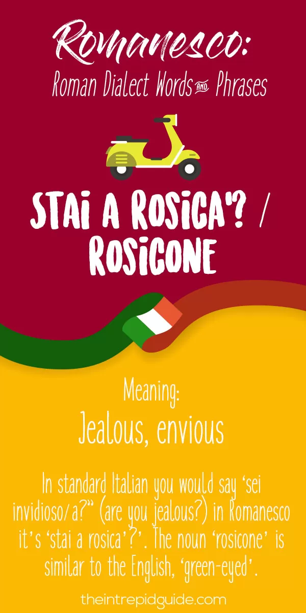 Rome Dialect Roman Words - Rosicone stai a rosica