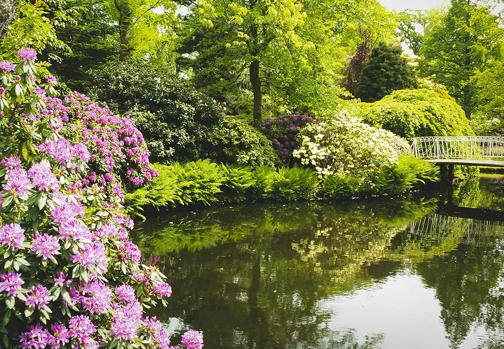 best things to do in rotterdam - Arboretum Trompenburg