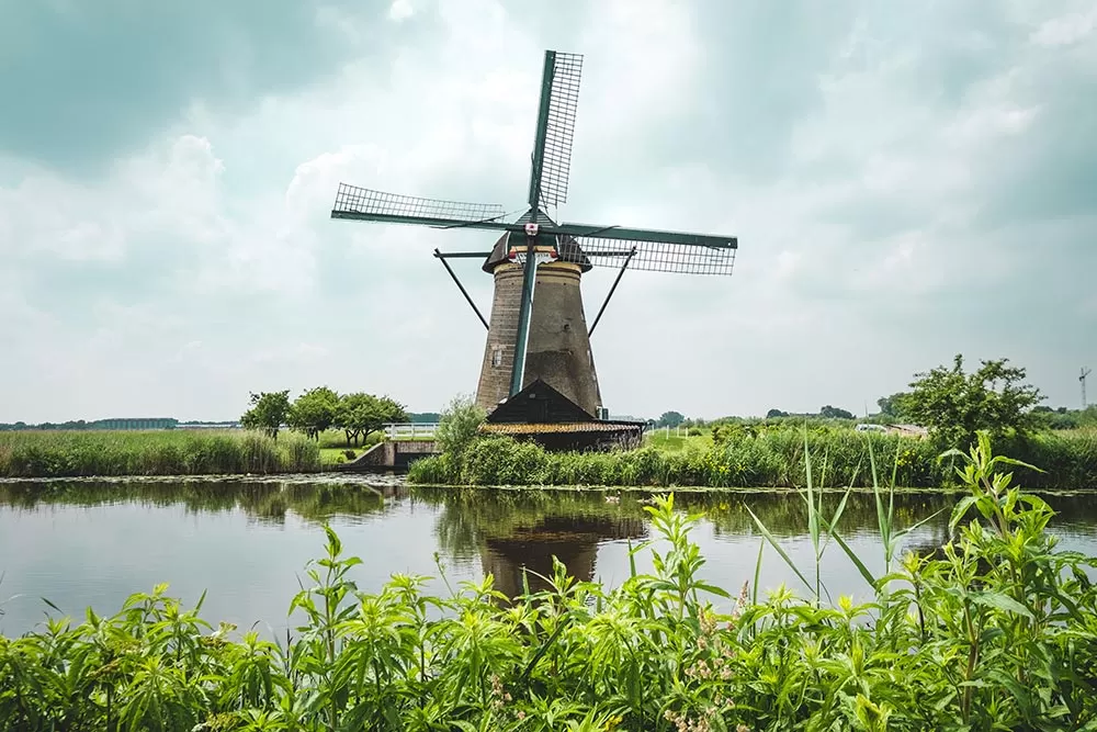 best things to do in rotterdam - Windmill at Kinderdijk