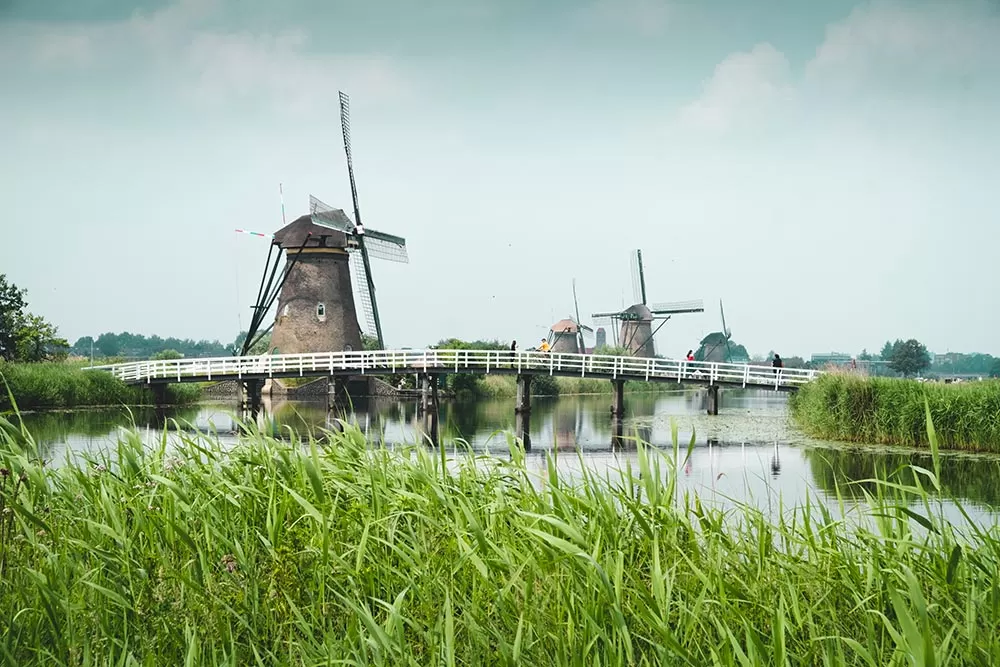 best things to do in rotterdam - Windmills at Kinderdijk