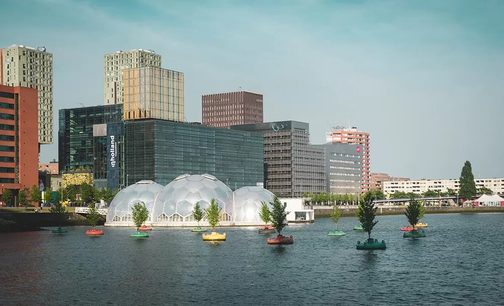 best things to do in rotterdam in 2021 - floating forest