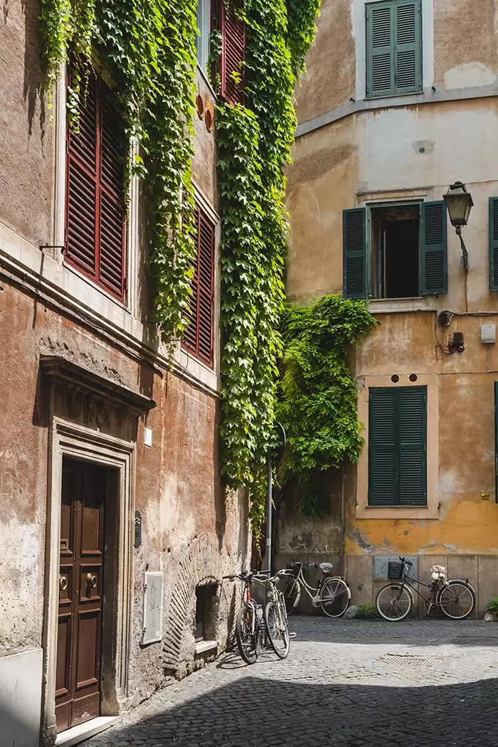 trastevere walking tour - Via in Piscinula vines hanging from buildings