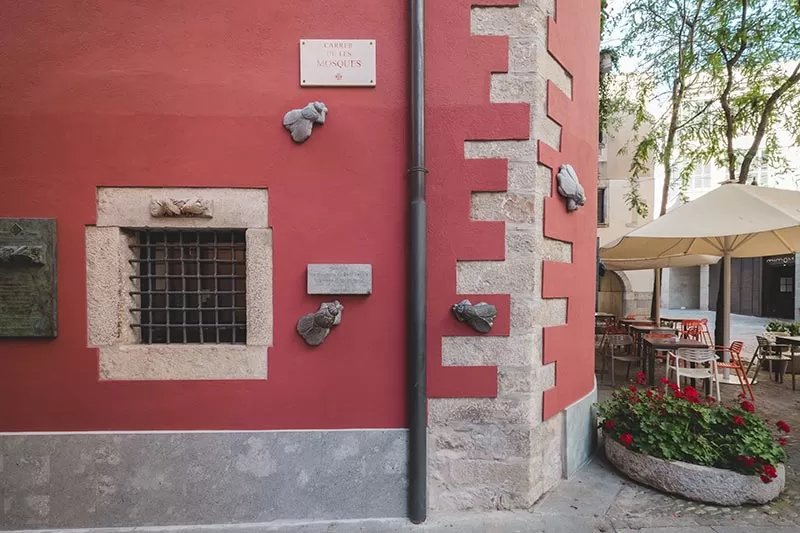 Best things to do in Costa Brava - girona flies of sant narcis