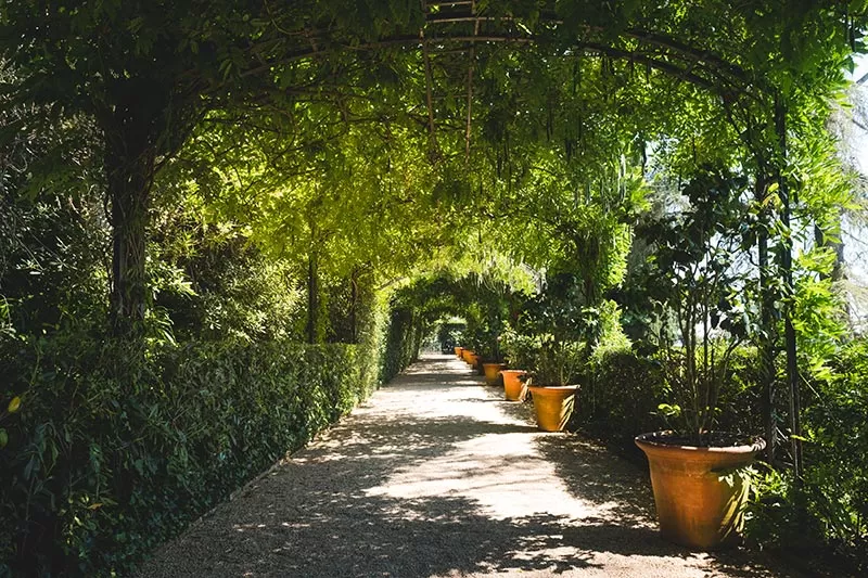 Best things to do in Costa Brava - lloret de mar Santa Clotilde Gardens canopy