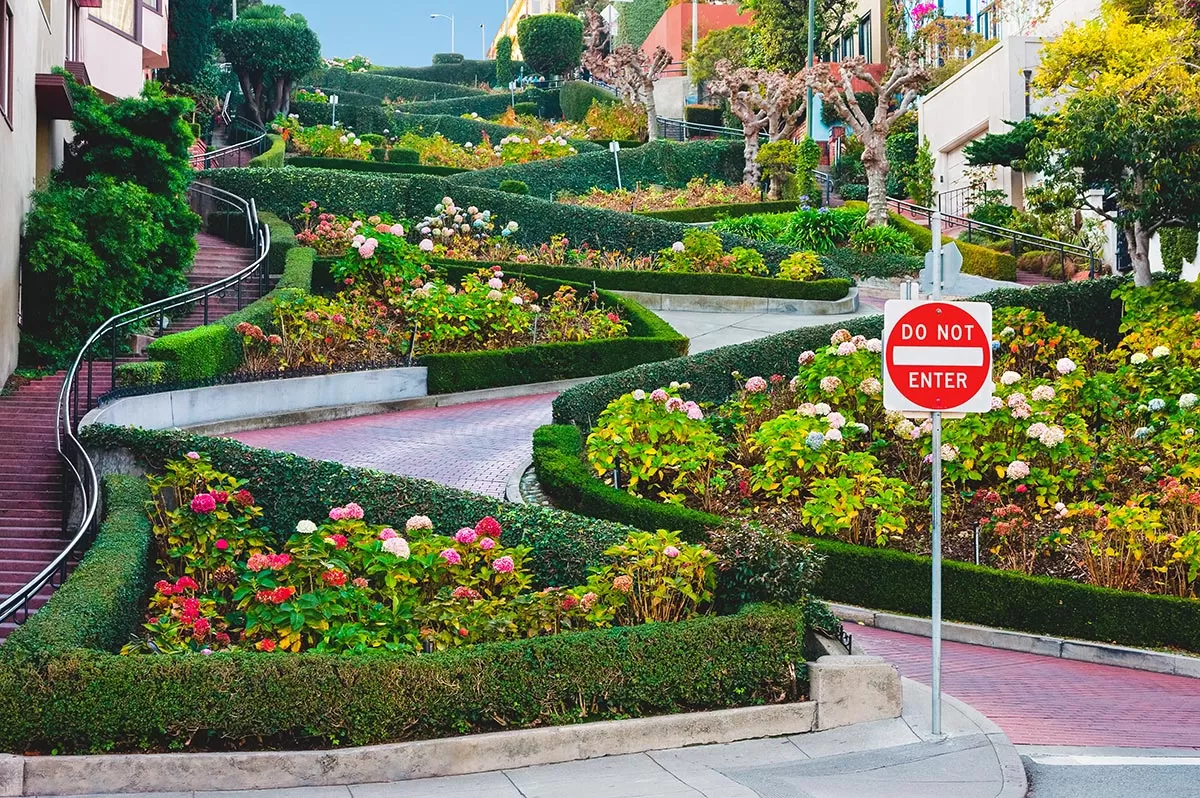 Lombard Street hairpins - Fun Things to do in San Francisco - 4 Day Itinerary