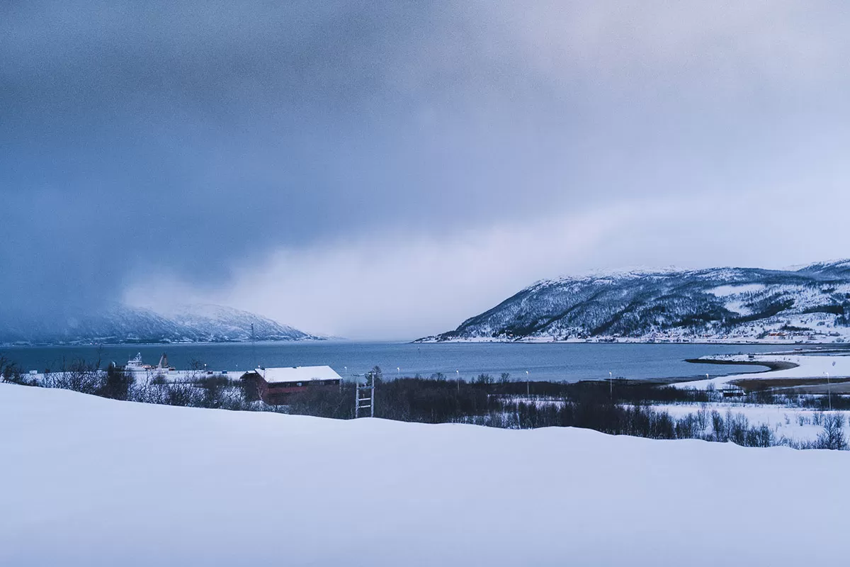 Reindeer and Sami Tour Experience in Tromso - Fjord and dark clouds