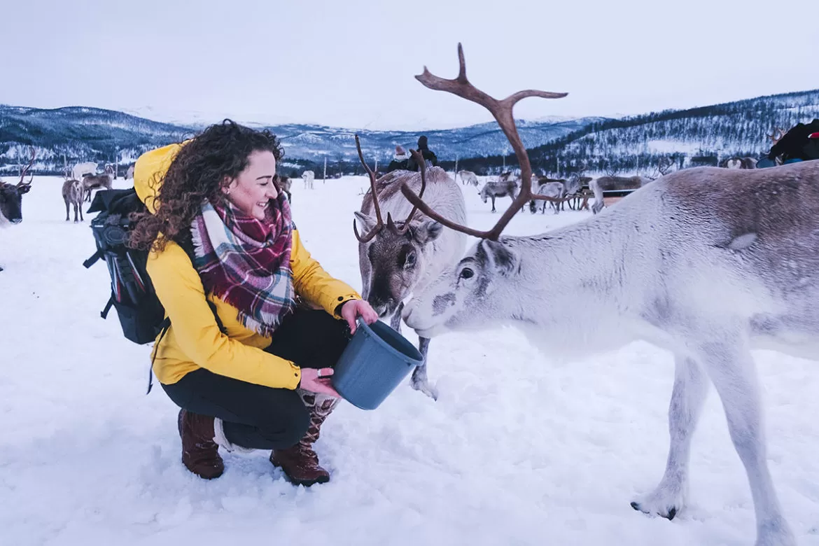 Reindeer and Sami Tour Experience in Tromso - Michele feeding reindeer