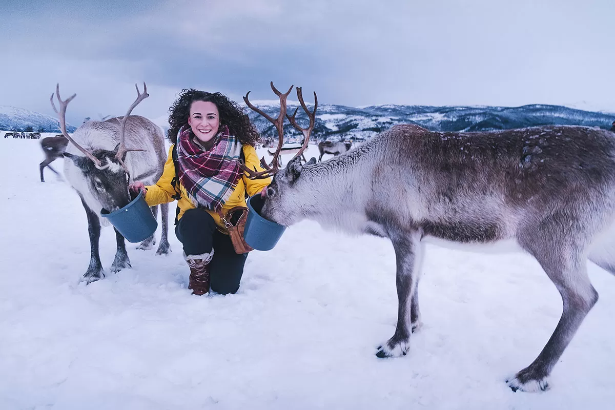 Sami People of Norway - Reindeer Sami Tour Experience in Tromso - Feeding Reindeer