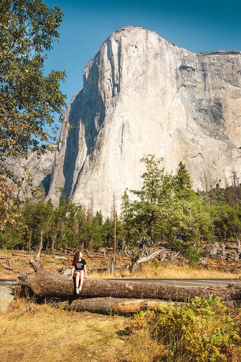 Yosemite Itinerary - Best Viewpoints in Yosemite - El Capitan Meadow