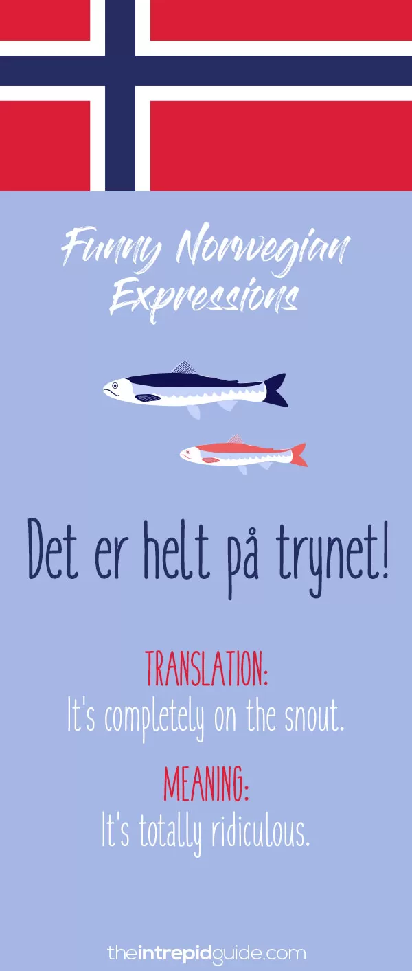 Norwegian Sayings and Idioms - Det er helt på trynet!