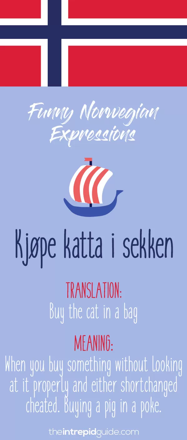 Norwegian Sayings and Idioms - Kjøpe katta i sekken