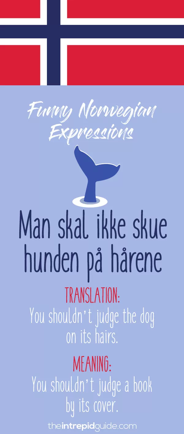 49 Hilarious Norwegian Idioms And Sayings That Will Make You Giggle The Intrepid Guide