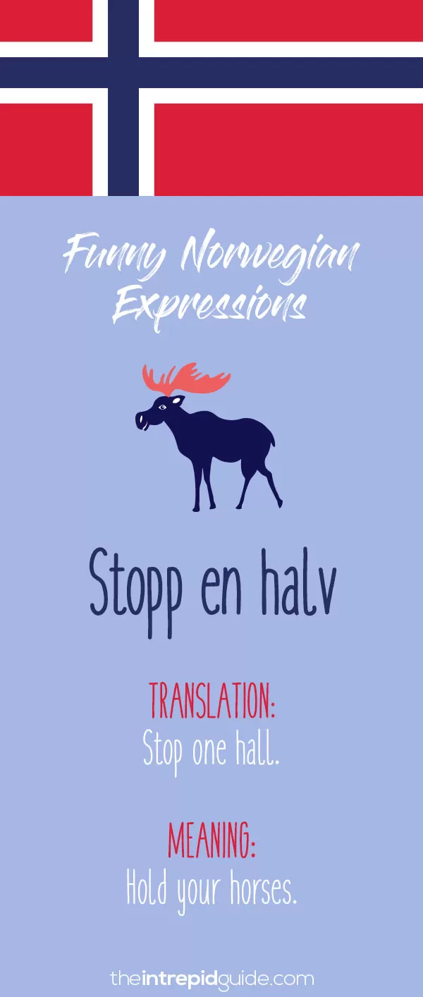 Norwegian Sayings and Idioms - Stopp en halv