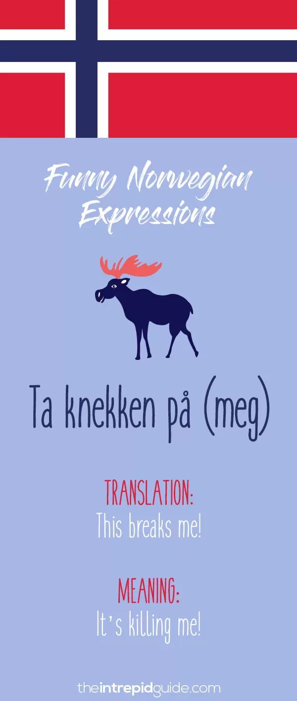 Norwegian Sayings and Idioms - Ta knekken på (meg)!