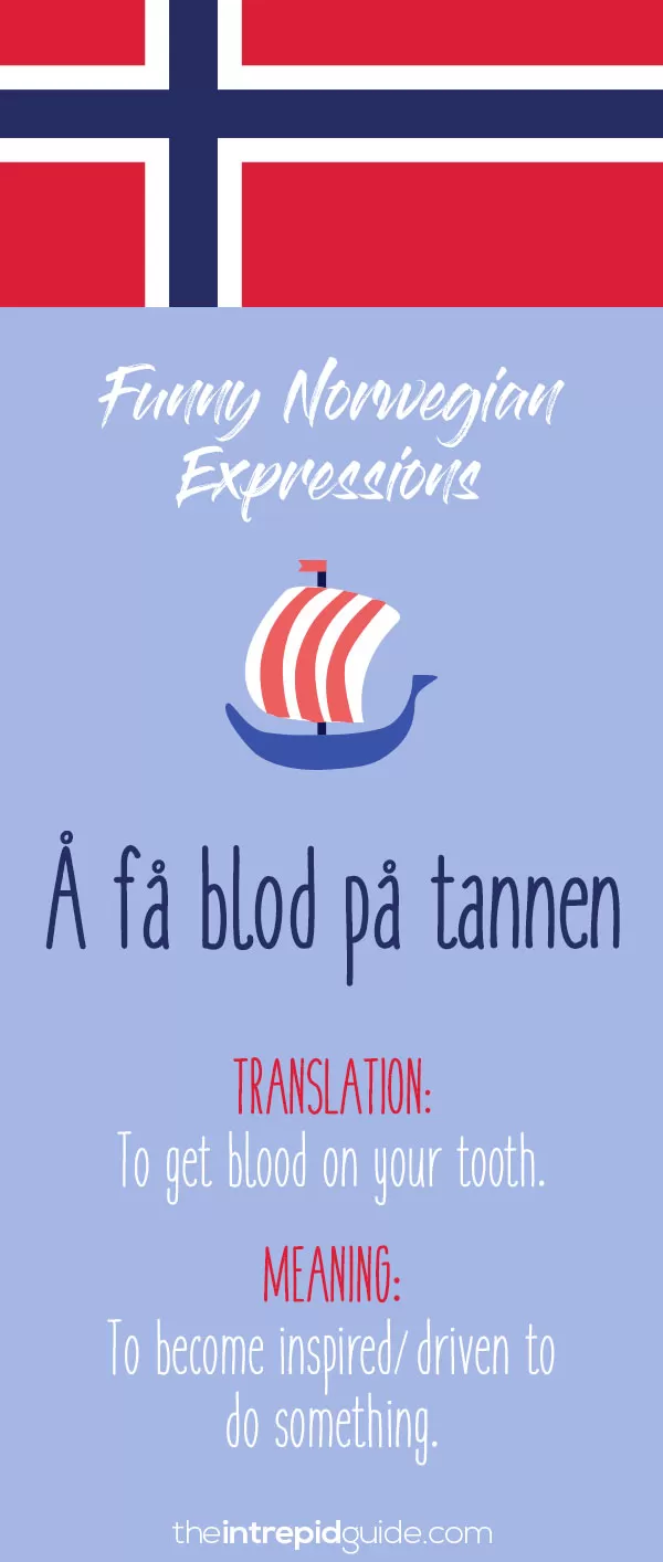 Norwegian Sayings and Idioms - Å få blod på tannen