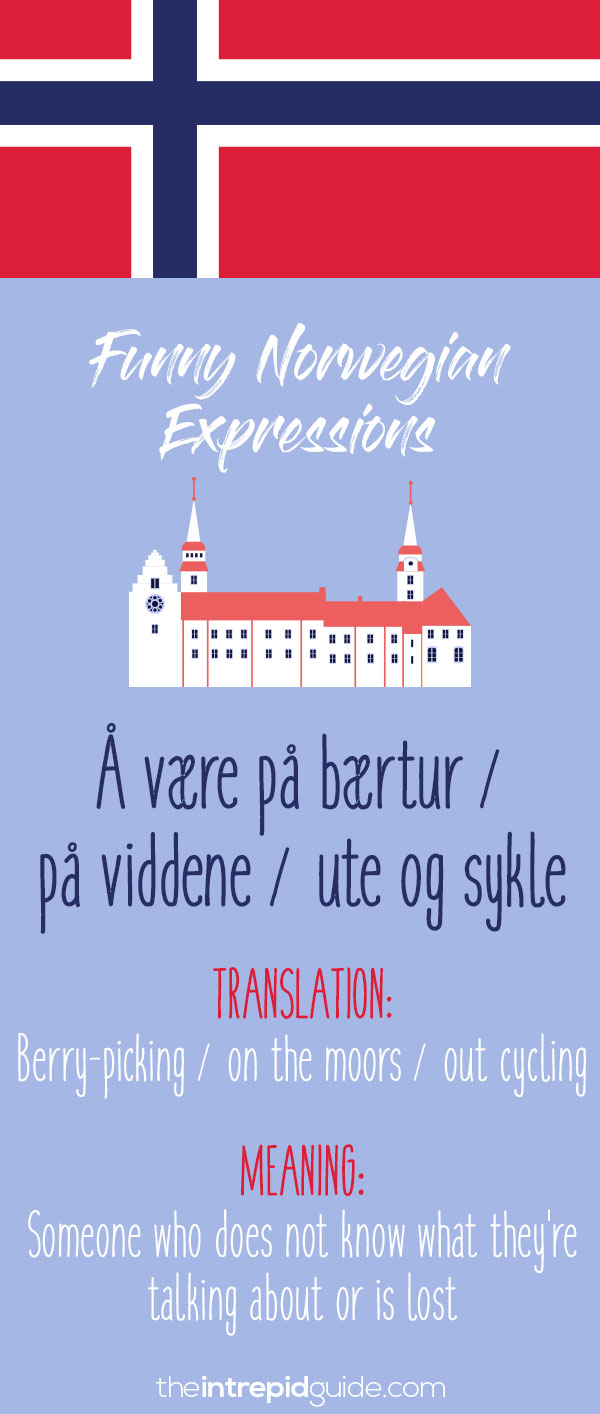 49 Hilarious Norwegian Idioms and Sayings That Will Make You Giggle - The  Intrepid Guide