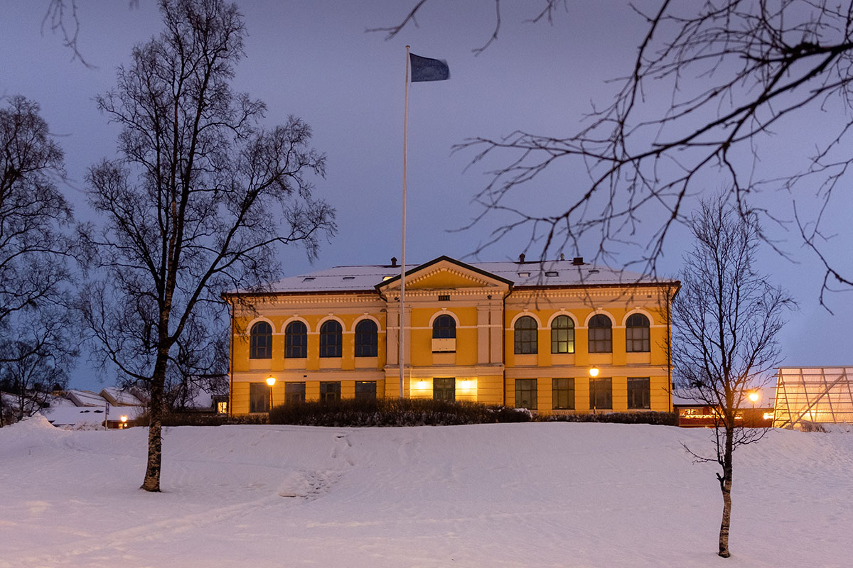 Best Things to do in Tromso in Winter - Kunstforening