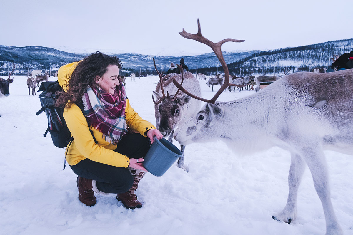 Best Things to do in Tromso in Winter - Feeding Reindeer
