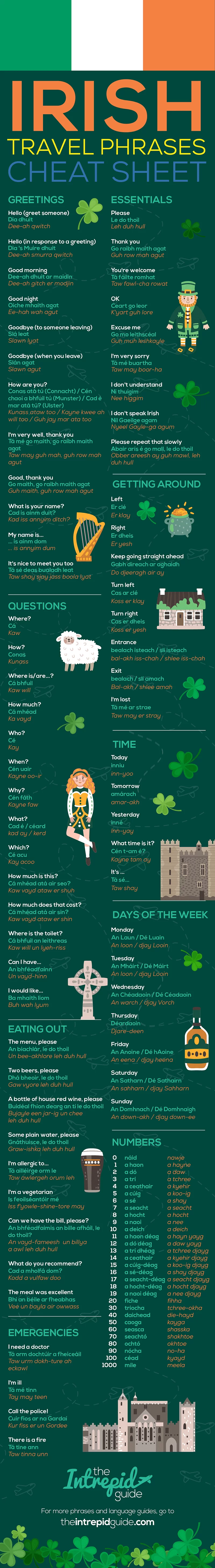 irish traveller words and meanings