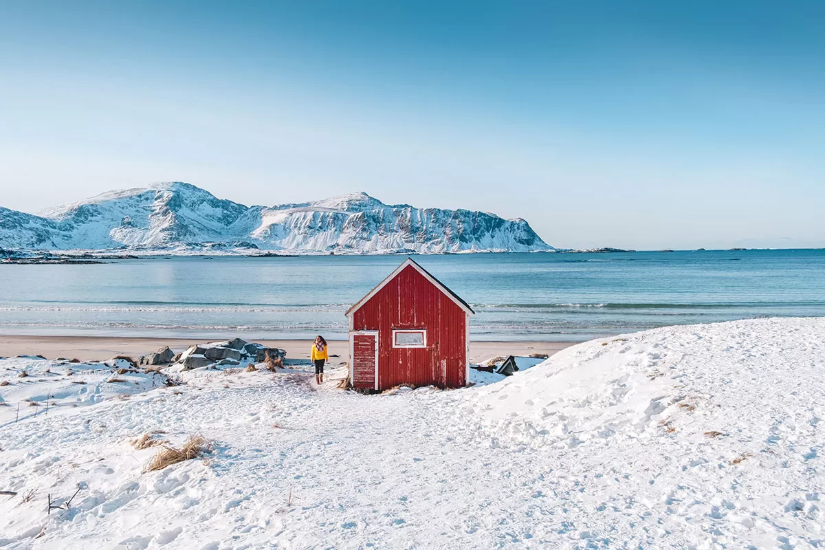 lofoten islands guided tour