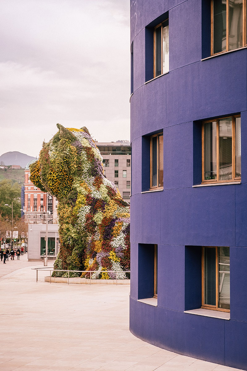 Best things to do in Bilbao Spain - Puppy at Guggenheim Museum