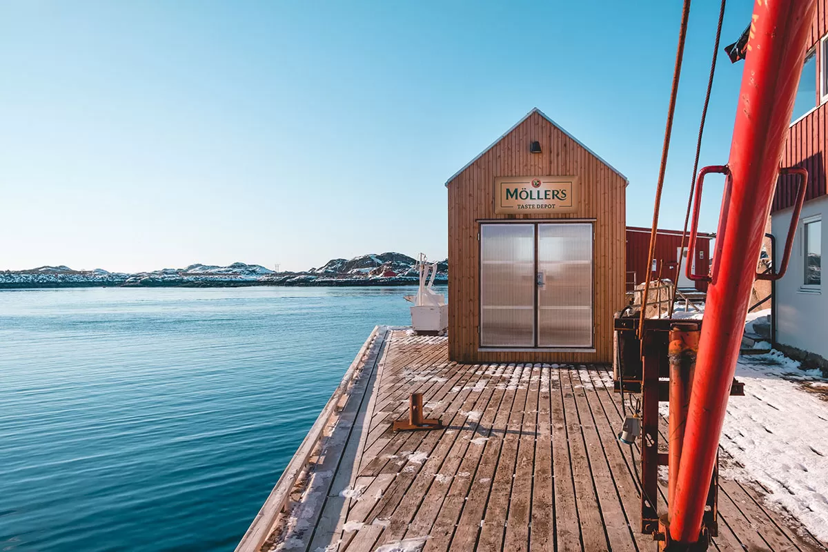Hattvika Lodge Review Lofoten Islands Norway - Möller's Cod Liver Oil Tasting Depot
