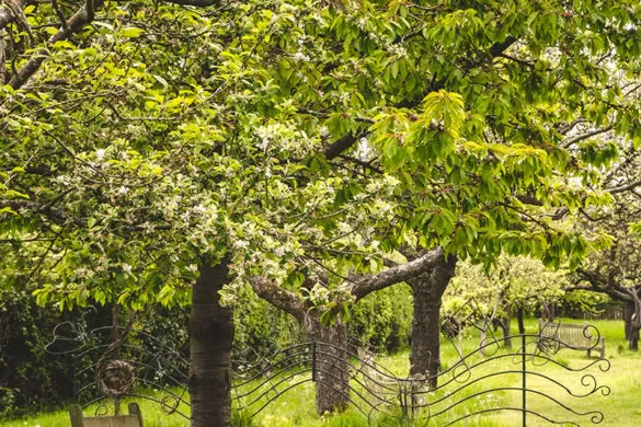 Best Things to do in Stratford-upon-Avon - Anne Hathaways Cottage Garden Bench