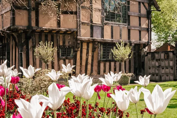 Best Things to do in Stratford-upon-Avon - Halls Croft White Pink Flowers