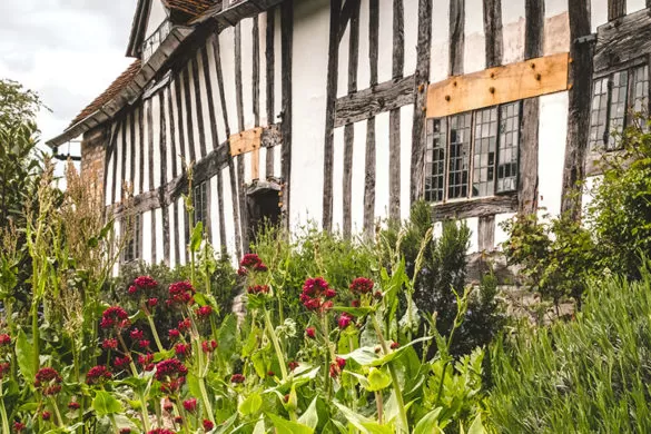 Best Things to do in Stratford-upon-Avon - Mary Ardens Farm Flowers