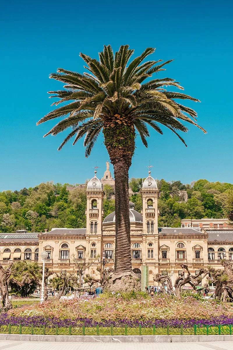 Top things to do in San Sebastian Spain - Town Hall and Palm Tree