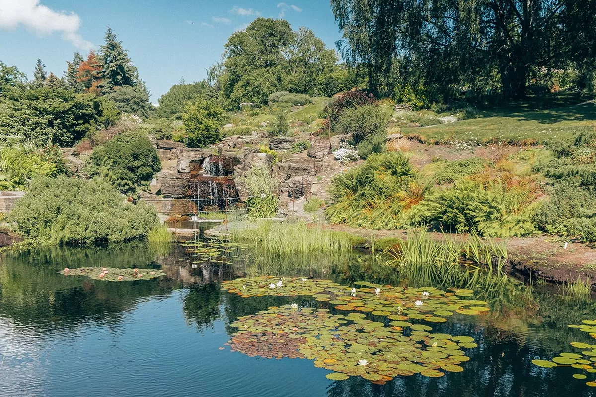 Free things to do in Oslo, Norway - Botanical Gardens pond