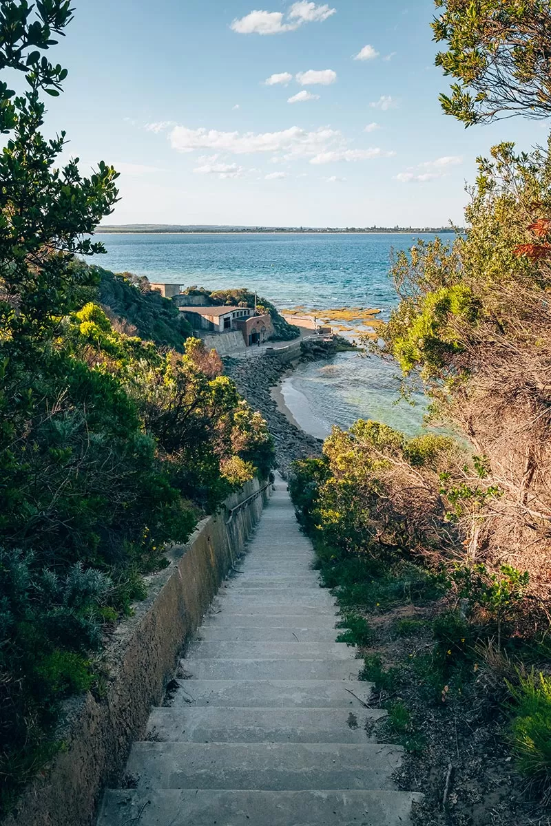 Things to do in Point Nepean National Park - Stairs towards the Engine Rooms