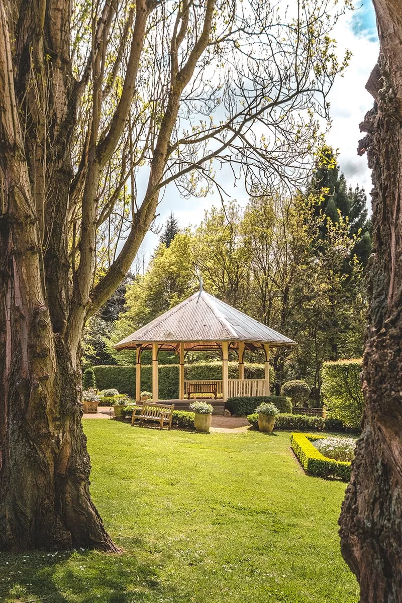 Top things to do on the Mornington Peninsula - Ashcombe Maze & Lavender Gardens - Rotunda