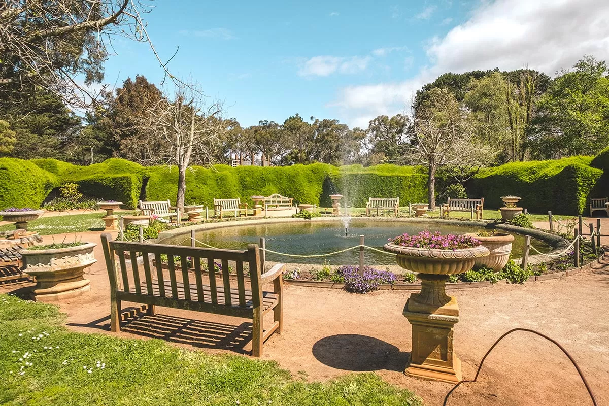 Top things to do on the Mornington Peninsula - Ashcombe Maze & Lavender Gardens