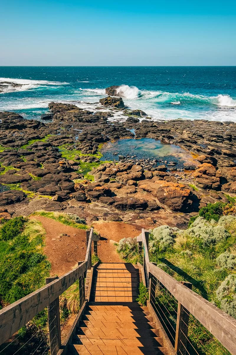 Top things to do on the Mornington Peninsula - Elephant Rock and rock pools