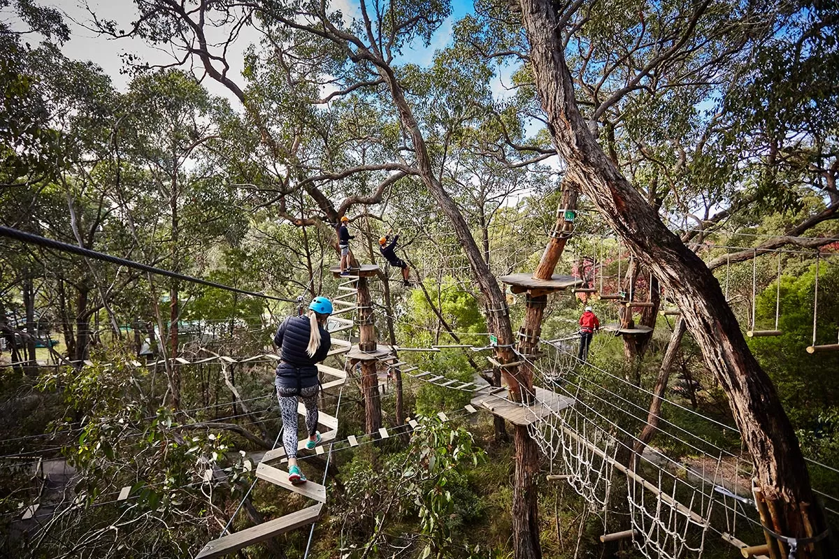 Top things to do on the Mornington Peninsula - Enchanted Adventure Garden - Tree Canopy