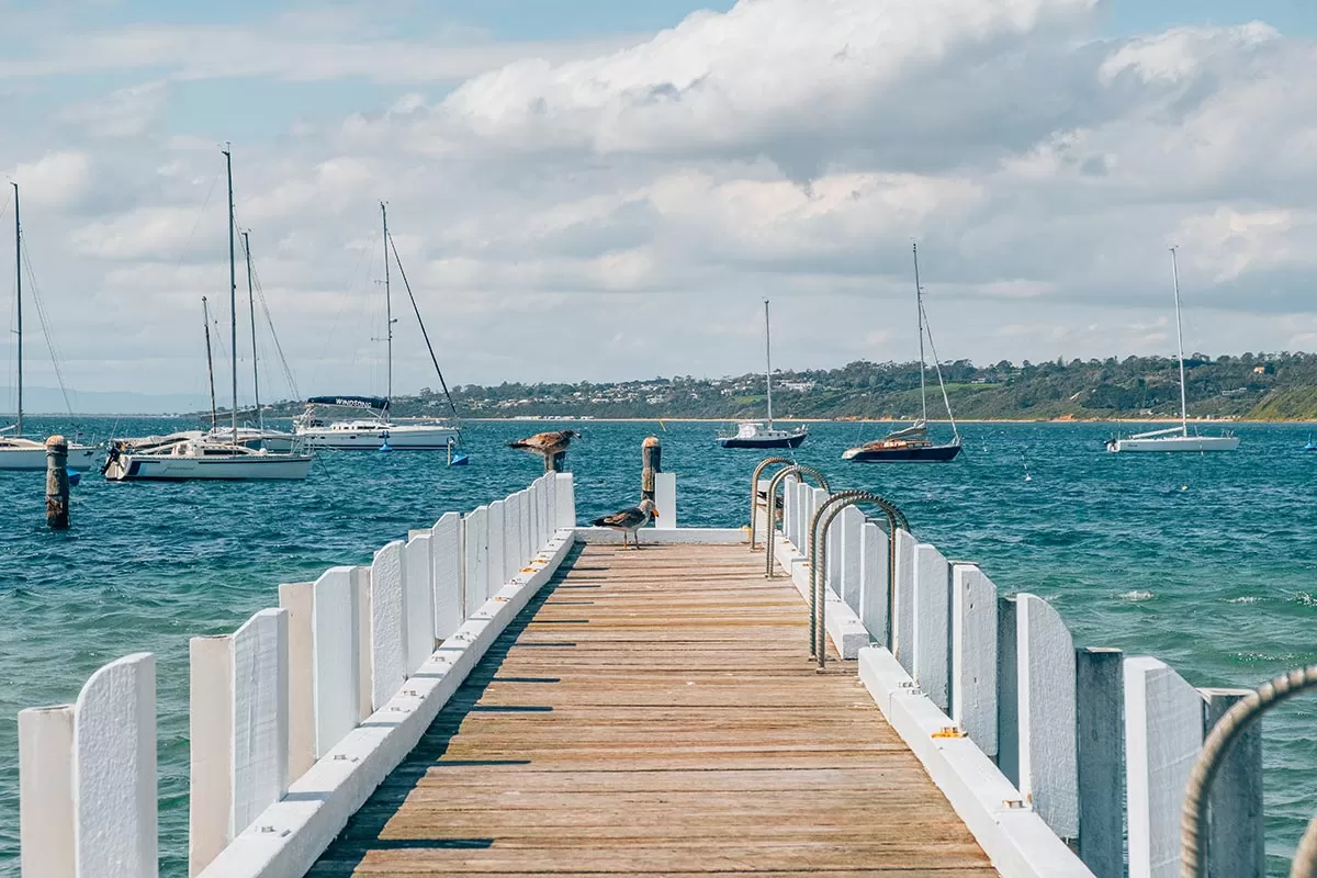 Top things to do on the Mornington Peninsula - Schnapper Point Pier