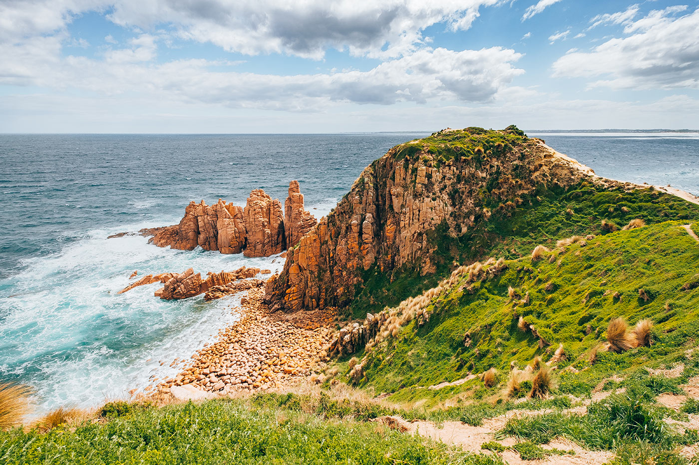 phillip island tours for backpackers