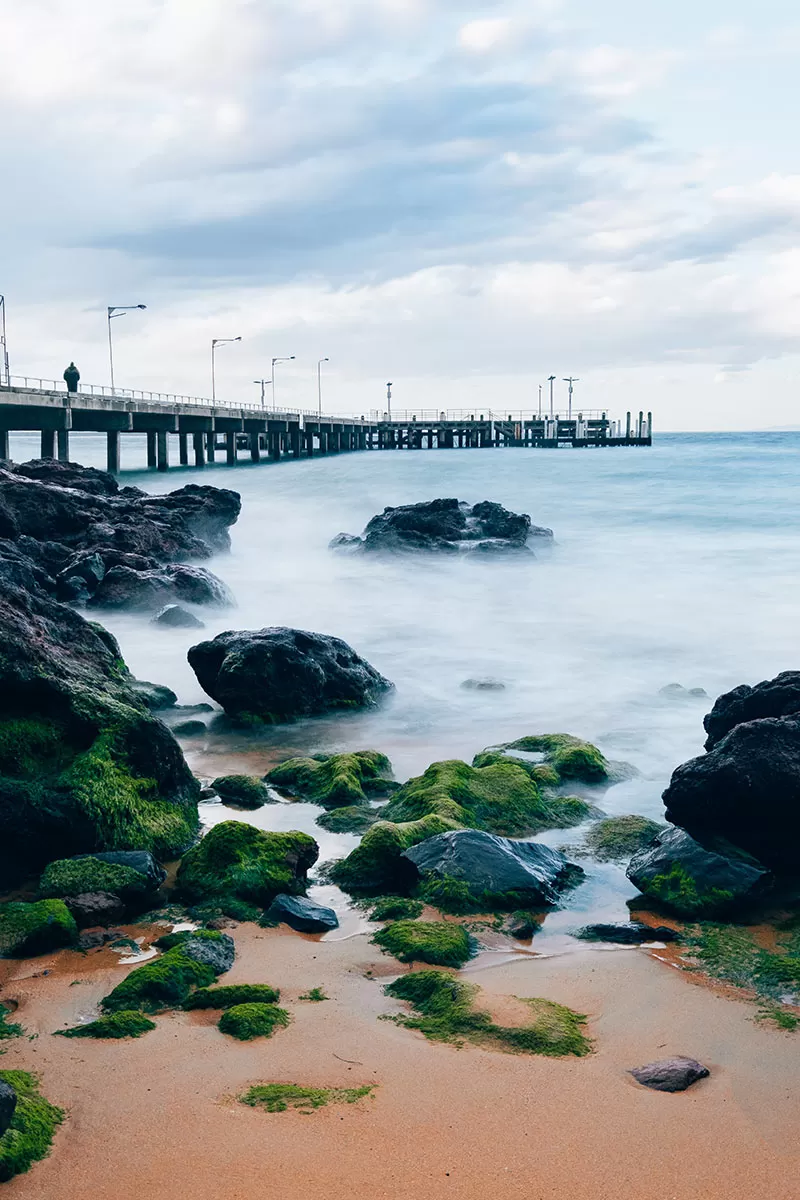 Best things to do in Phillip Island - Cowes Jetty and Pier