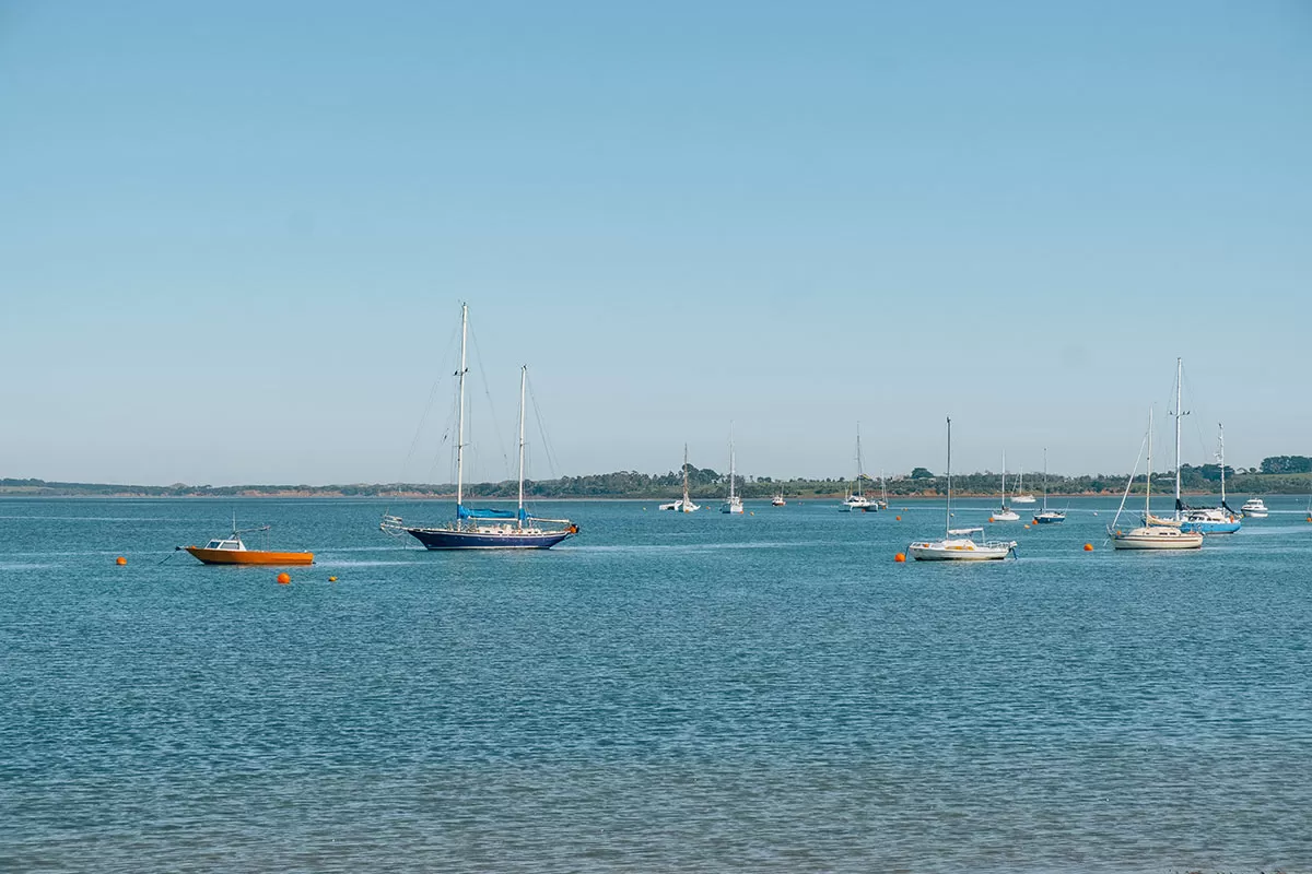 Best things to do in Phillip Island - Boats in Rhyll