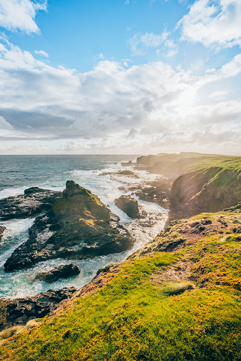 Best things to do in Phillip Island - The Nobbies Southpoint Lookout