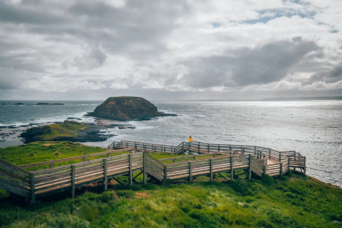 Best things to do in Phillip Island - The Nobbies