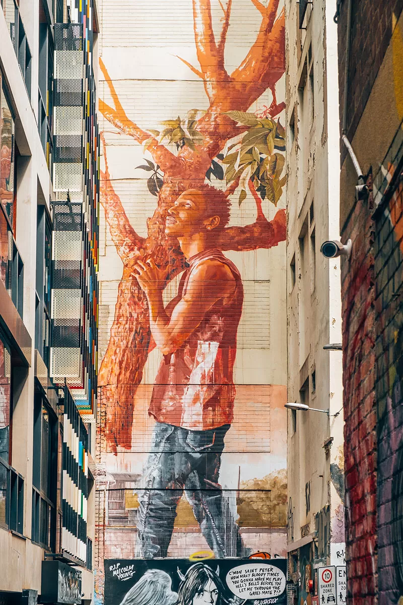 Melbourne Street Art Map - Duckboard Place Graffiti - Carrying Tree mural