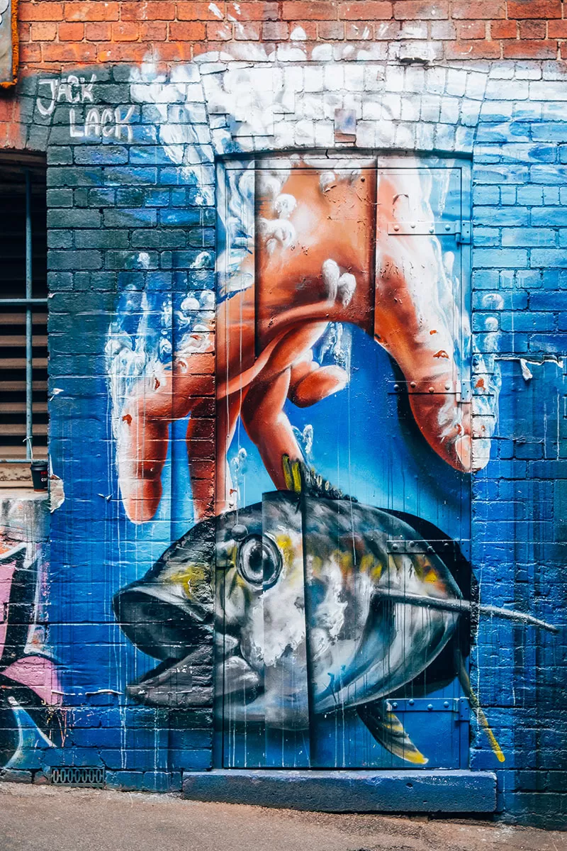Melbourne Street Art Map - Duckboard Place Graffiti - Catch a fish mural